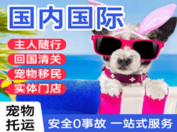 固原六盘山机场快递国际宠物托运 【国